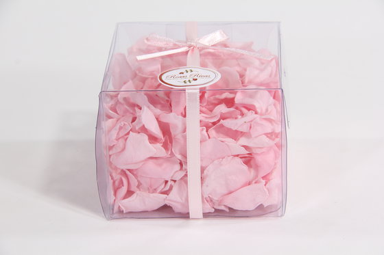 Pétales de roses éternelles - rose 1 