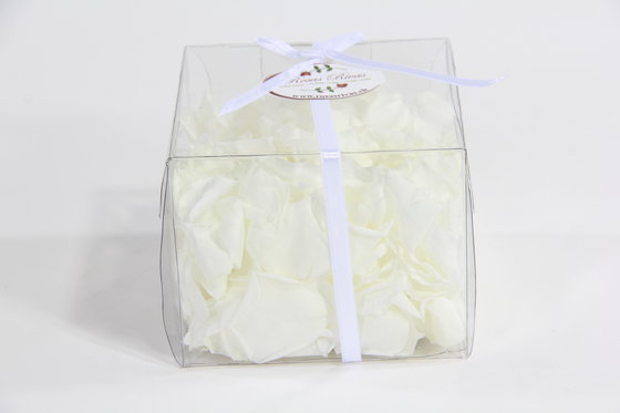 Pétales de roses éternelles - rose 2 