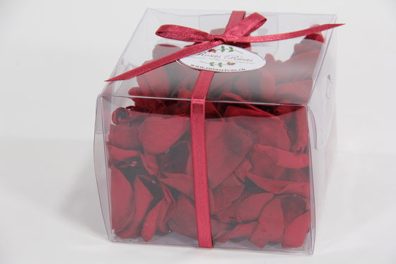 Pétales de roses éternelles - rose 3 