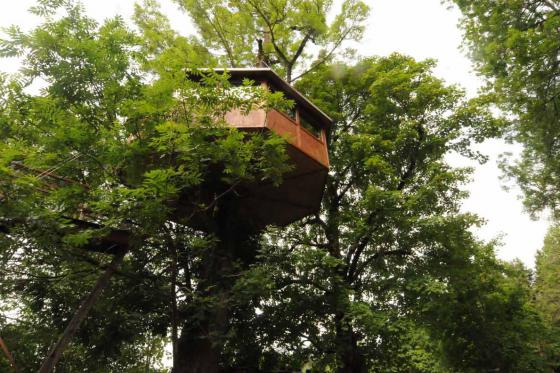 Baumhaus Übernachtung - für 2 Personen inkl. Frühstück 1 