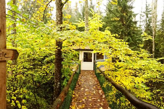 Baumhaus Übernachtung - für 2 Personen inkl. Frühstück 7 