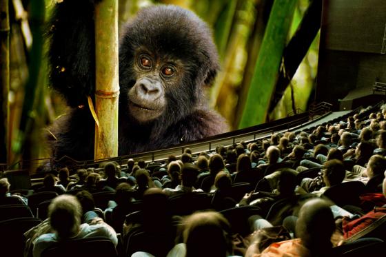 Entrée au musée des transports - 1 adulte 4 