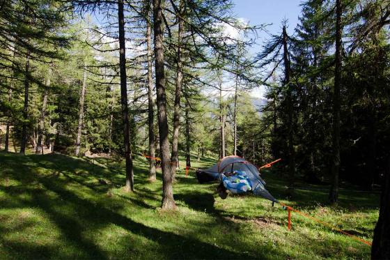 Nuit suspendue dans les arbres - pour 2 personnes 6 
