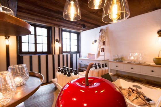 Schloss-Hotel Übernachtung - mit Sicht auf den Vierwaldstättersee 8 