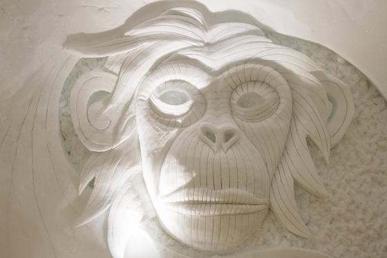 Fondue Spass - im Iglu für 1 Person 6 