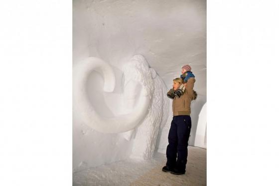 Igloo familial - Pour 2 adultes et 1 enfant 9 