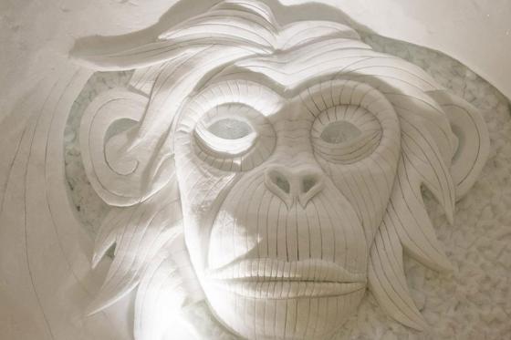 Igloo familial - Pour 2 adultes et 1 enfant 13 