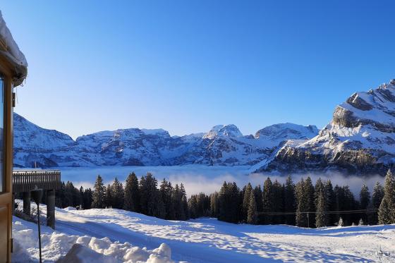 Jurten Übernachtung - 1 Nacht in der 5 Billionen Sterne Panorama Jurte | 3 Personen 18 