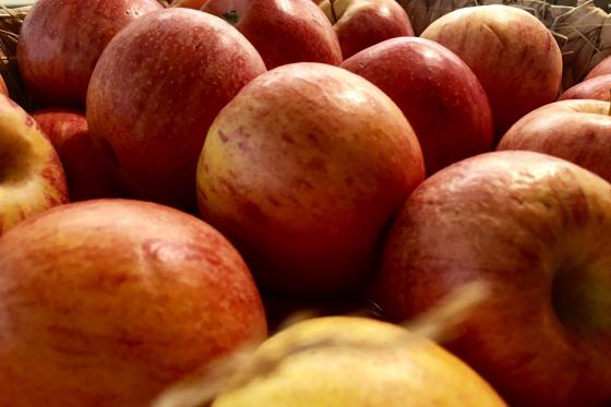 City Trip Zürich - 1 Übernachtung im Townhouse Boutique Hotel inkl. Abendessen 8 