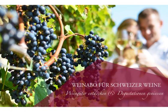 Weinabo Geschenk - 3 Lieferungen exzellenten Wein geniessen 6 