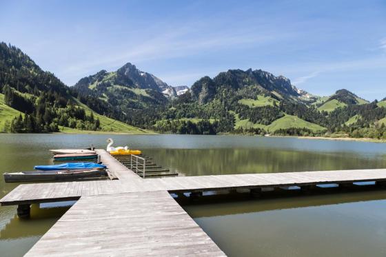 Helikopterflug  - Die Wunder des Berner Oberlandes - Abfahrt von Gruyères oder Sion 3 