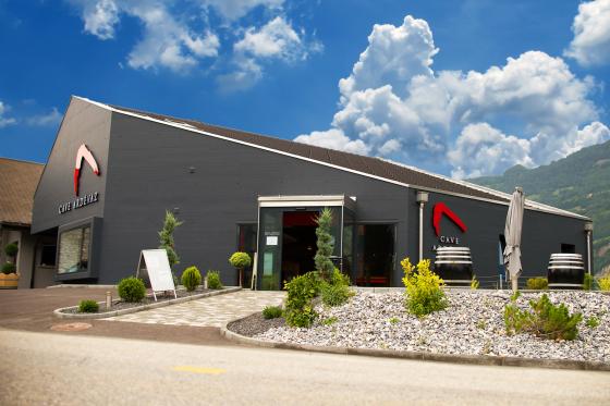 Dégustation de vin pour deux - Cave Ardevaz (VS) avec apéritif & bouteille offerte 2 