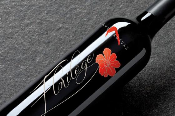 Dégustation de vin pour deux - Cave Ardevaz (VS) avec apéritif & bouteille offerte 4 