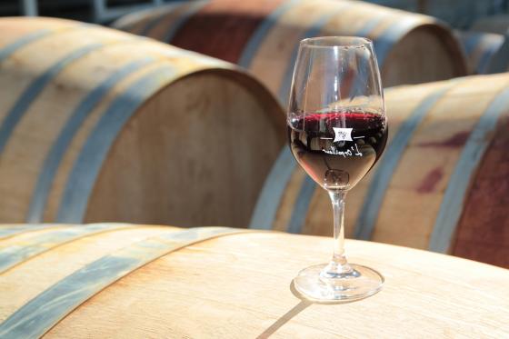 Dégustation de vin pour deux - Cave L'Orpailleur (VS) avec apéritif et 2 bouteilles offertes  