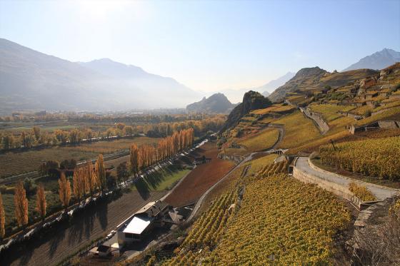 Dégustation de vin pour deux - Cave L'Orpailleur (VS) avec apéritif et 2 bouteilles offertes 1 