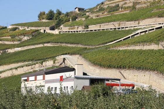 Dégustation de vin pour deux - Cave L'Orpailleur (VS) avec apéritif et 2 bouteilles offertes 2 