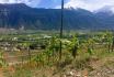 Dégustation de vin pour deux - Cave de l'Orlaya (VS) avec visite, apéro et bouteille offerte 2