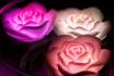 LED Schwimmende Lichter Rosen - 3er Set 