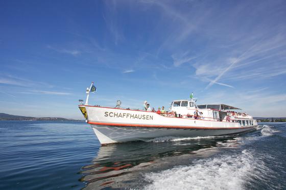 Merry Christmas - Wishbox - 1 Box - über 25 Erlebnisse 1 