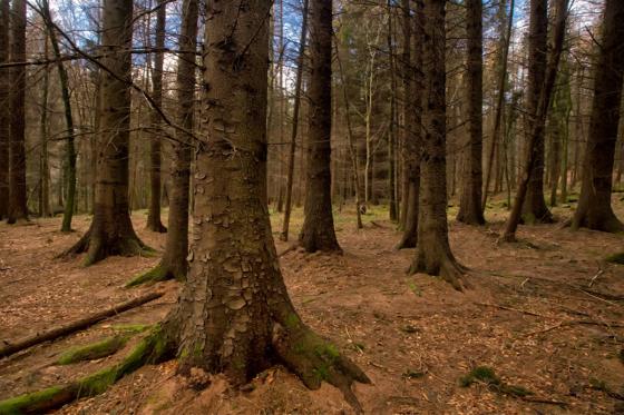 Game of Thrones Drehortreise - 3 Tage, Belfast / Antrim - Irland / Nordirland, 2 Personen 2 