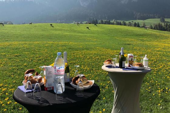 Vol en montgolfière - Région Genève pour 1 personne + photos offertes 9 