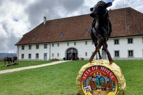 Helikopterflug - 80-minütiger Helikopterflug mit Apéro  1 