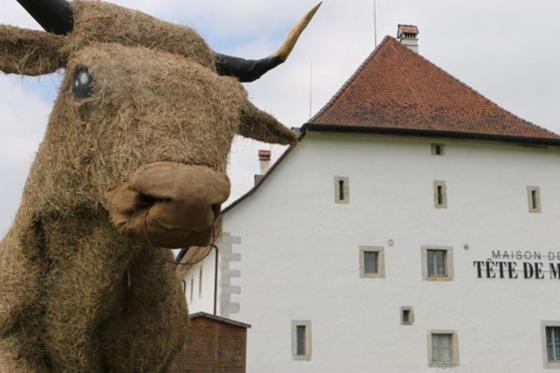 Helikopterflug - 80-minütiger Helikopterflug mit Apéro  4 