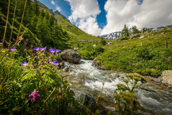 Court séjour pour deux - inclus dîner et trottinettes  