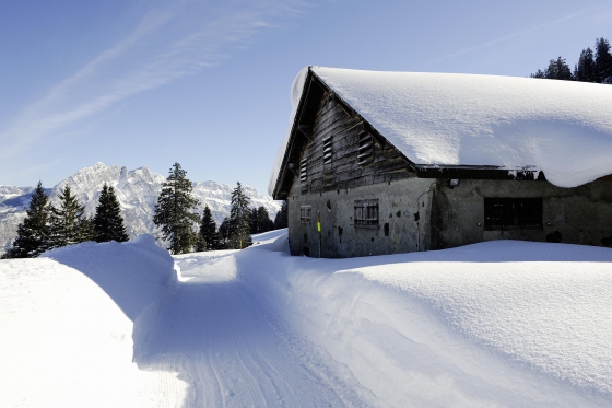 Schlittelplausch - einen ganzen Tag lang 1 