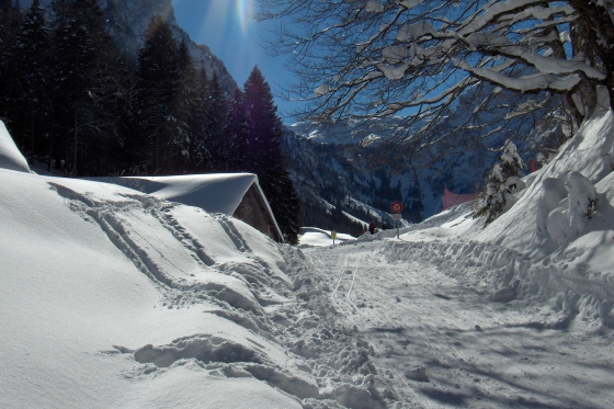 Schlittelplausch - einen ganzen Tag lang 3 