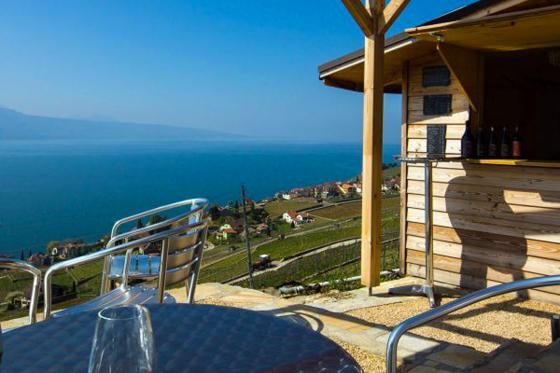 Dégustation de vin pour deux - Domaine Bovy (VD) avec visite, apéro et bouteille offerte 5 