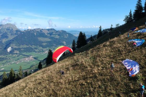 Stage découverte  - 1 jour de formation pour 1 personne  