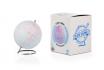 Carnet de yoyage - mini globe - Peignez vos objectifs  1