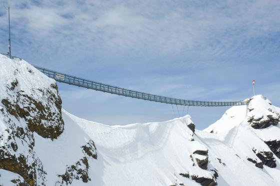 Vol au-dessus du Glacier 3000 - et dégustation d'une fondue pour 2 personnes 2 