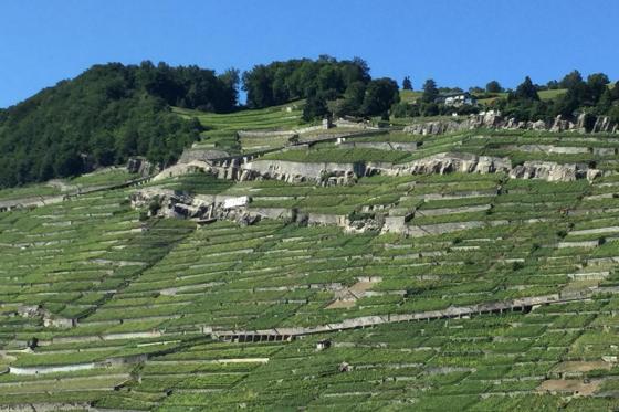 Road Trip en 2CV avec chauffeur - Découverte du Lavaux et dégustation d'une fondue  2 