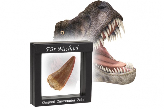 Dent de dinosaure - original et personnalisé  