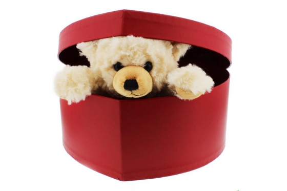 Steiff Teddy - in Herzbox - personalisierbar 1 