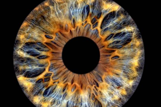 Iris Fotografie - 30x30cm auf Echt-Glas, für eine Person  