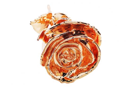 Rosa rosegold 24 carati  - 28 cm - con incisione 4 