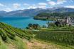 Journée au château de Spiez - Tour en bateau en 1ère classe, apéro & entrée au musée | 1 pers. 20