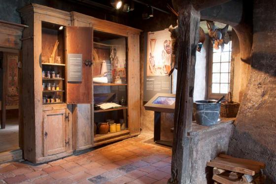 Journée au château de Spiez - Tour en bateau en 1ère classe, apéro & entrée au musée | 1 pers. 7 