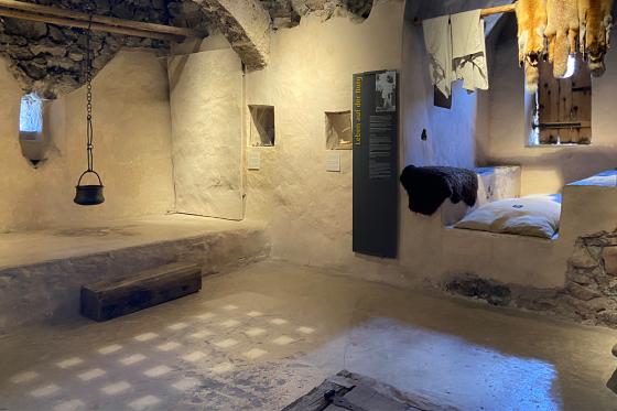 Journée au château de Spiez - Tour en bateau en 1ère classe, apéro & entrée au musée | 1 pers. 11 