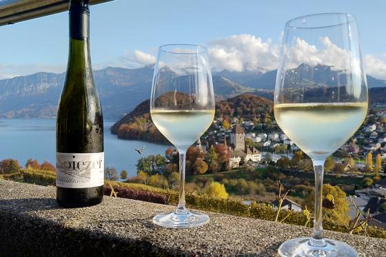 Journée au château de Spiez - Tour en bateau en 2ème classe, apéro & entrée au musée | 2 pers. 5 