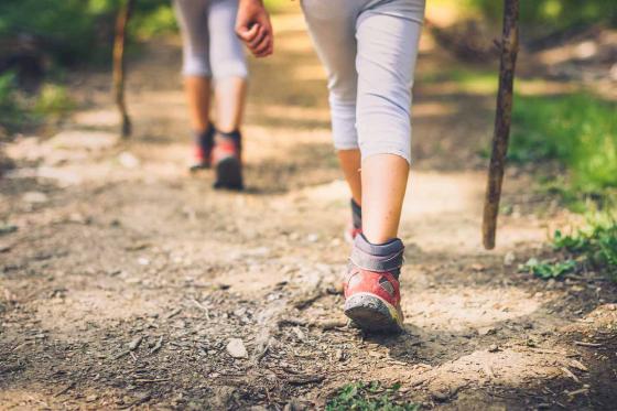 Alpenluft in Wallis - 3 Übernachtungen, Halbpension für 2 Personen 8 