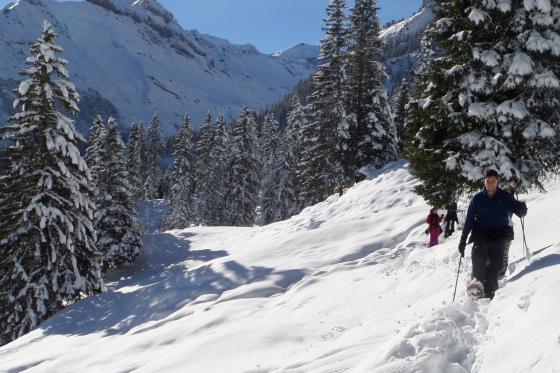 Schneeschutour in Isenfluh - inkl. Guide & Ausrüstung für 2  