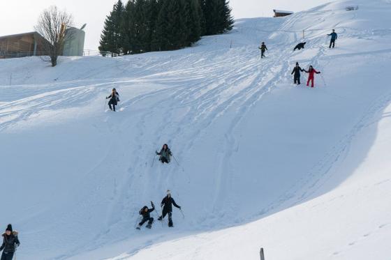 Schneeschutour in Isenfluh - inkl. Guide & Ausrüstung für 2 1 