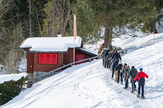 Schneeschutour in Isenfluh - inkl. Guide & Ausrüstung für 2 2 