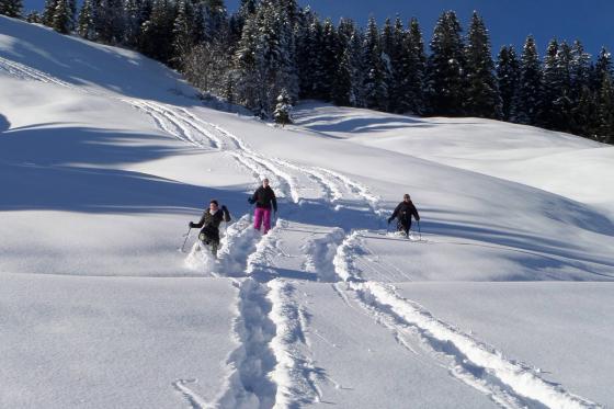Schneeschutour in Isenfluh - inkl. Guide & Ausrüstung für 2 4 