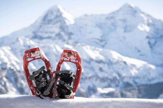 Schneeschutour Lobhornhütte - inkl. Guide & Ausrüstung für 2  3 