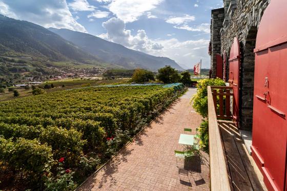 Œnotourisme dans un château - 1 nuit avec dégustation de vin et assiette valaisanne | en été 7 